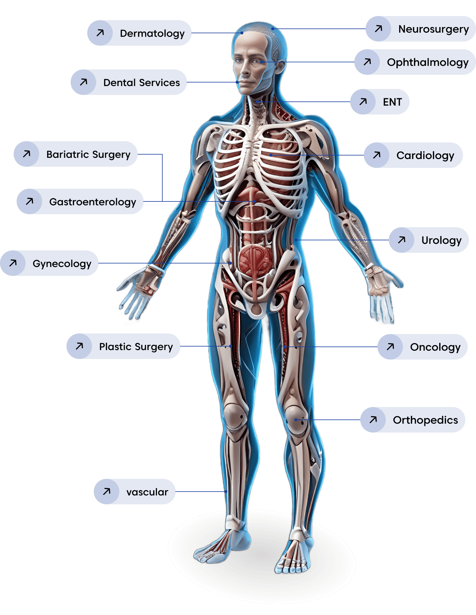 Medical Specialties
